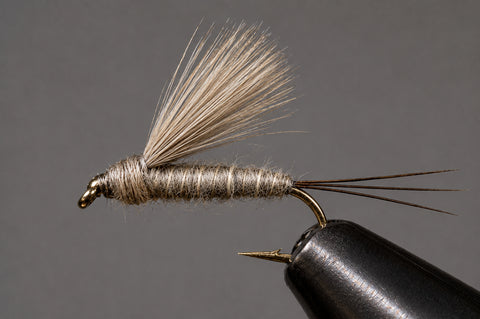 RS2 Emergers