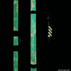 Black Dragon Fire Spinning Glow Rod