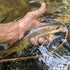 files/brookie_hellbender_fly_fishing_net_mossy_rock_stream_river_trout_fish_on.jpg