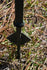 files/chamblessduckgunhanger2.jpg