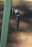 files/chamblessduckgunhanger4.jpg