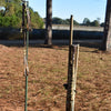 Chambless Duck Gun Hanger