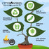 files/city-bonfire-10-pack-603285.jpg