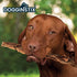 files/dogginstix-braided-beef-tripe-natural-dog-chew-digestible-nutrient-rich-omega-3-dg2v-5928676.jpg