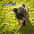 files/dogginstix-braided-lamb-collagen-barbell-dog-chew-natural-grass-fed-low-fat-treat-dg2r-9627264.jpg