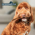 files/dogginstix-braided-lamb-collagen-dog-chew-long-lasting-digestible-high-protein-rawhide-alternative-dg2k-8120295.jpg