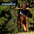 files/dogginstix-braided-lamb-collagen-double-knot-dog-chew-natural-grass-fed-low-fat-treat-dg2p-1185358.jpg