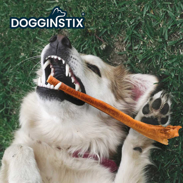 Dogginstix Bully Stick Dog Chew, All-Natural, Grass-Fed Beef, Odor-Free