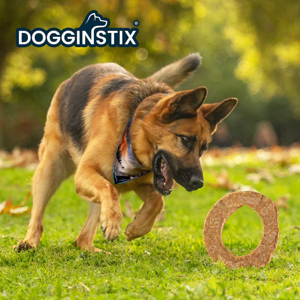 Dogginstix Lamb Collagen Cosmic Donut Dog Chew & Toy – Natural, Grass-Fed, Low Fat