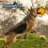 files/dogginstix-natural-beef-collagen-ufo-dog-chew-toy-long-lasting-digestible-high-protein-dg2y-5351206.jpg