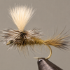 Hare's Ear - Parachute