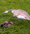 files/edtd-siloadapters_6of11.jpg