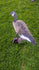 files/edtd-siloadapters_7of11.jpg