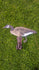 files/edtd-siloadapters_9of11.jpg