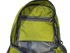 files/green3-1.png