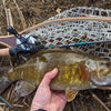 Hunt BFS Fishing Rods