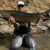 Salmon Kit