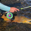 Goliath rod and reel combo