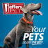 files/jeffers-paw-and-nose-protection-balm-for-dogs-3-ounce-jefzwe-3566835.jpg