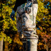 Vycah Kinsley Pant - Fall