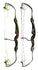files/kladkovy-luk-rolan-cambium-21-24-lbs-compoundbogen.jpg