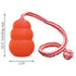 files/kong-aqua-k9c1-717447.jpg
