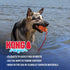 files/kong-aqua-k9c1-930227.jpg