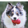 KONG Classic Dog Toy