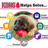KONG Classic Dog Toy