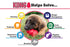 files/kong-classic-dog-toy-k93f-372233.jpg