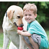 KONG Classic Dog Toy