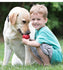 files/kong-classic-dog-toy-k93f-757919.jpg