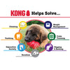 KONG Classic Dog Toy
