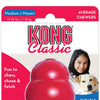KONG Classic Dog Toy