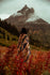 files/lifestyle-smokey-bear-dungaree-1.jpg