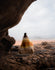 files/lifestyle-star-wars-tatooine-1.jpg