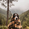 Vintage Hunter