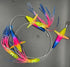 files/microbird-rainbow.jpg
