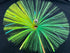 files/nickel-grn-yel_be342d0d-d5cc-431b-81fa-4c017b33f84a.jpg