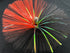 files/nickel-rdblk_15d39d0d-0d14-4b19-a644-10ec76db8b6f.jpg