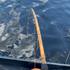 files/orange-dragon-fire-spinning-glow-rod-4216588_dea159b4-fd77-4d9f-9de1-2a5a2d3d19a1.png