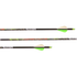 files/p-3YbjuE-products-CX_Hunting_Arrows_Adrenaline_Zoom__88431.1568312895.1280.1280.png