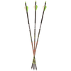 Carbon Express Adrenaline Fletched Carbon Hunting Arrows