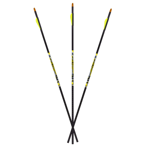 Carbon Express D-Stroyer Fletched Carbon Hunting Arrows (6-Pack)