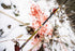 files/products-Dstroyer_lifestyle_02__29197.1578612646.1280.1280_72926.jpg