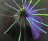 files/pur-blk_7b5032ee-274b-445b-a1f2-9658c10838a2.jpg