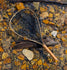 files/rn-image_picker_lib_temp_4e703e7e-971b-4487-9e96-39d45d52b8fe.jpg