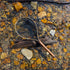 files/rn-image_picker_lib_temp_cbff039e-4e68-4642-aad7-0ce1157200db.jpg