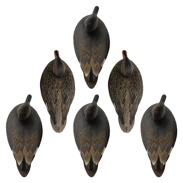 Rugged Series Gadwall