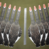 Top Down Decoys® SBS1 Specklebelly-Snow